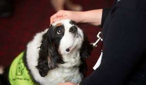 Pets have positive effects on the lives of older people, said Tracey Crouch MP