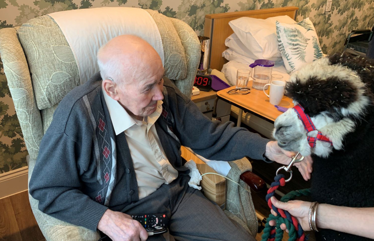 Residents at Oakdale care home in Poole enjoyed a visit from two special guests â€“ Guinness and Greyfriars Rufus the alpacas.