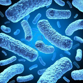 MRC announces Â£10m initiative to tackle antibiotic resistance