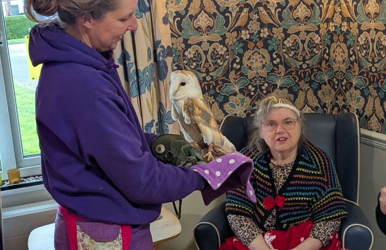 Animal therapy brings Christmas joy to Lincolnshire care home Animal therapy brings Christmas joy to Lincolnshire care home