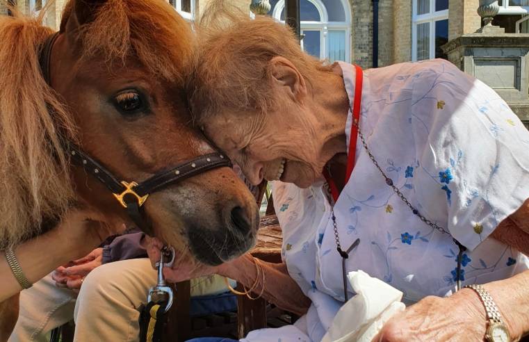 Therapy horse Copper nuzzles up to resident Joyce Burrell (91) at RMBI Care Co. Home Zetland Court.