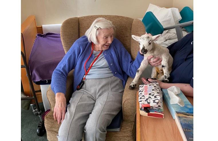 FORMER SHEPHERDESS WELCOMES LAMB REUNION