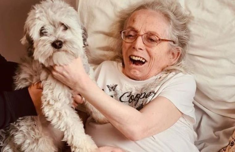 THERAPY DOG MAKES RESIDENTS' DAY AT MALVERN CARE HOME  