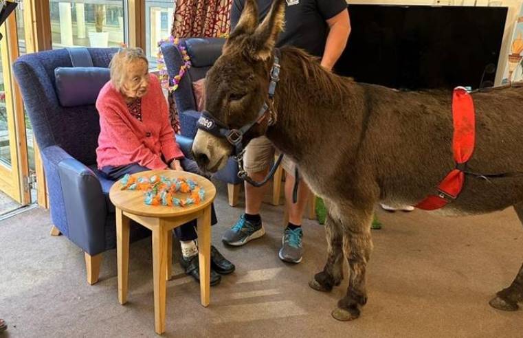 South Croydon care home residents enjoy donkey visit on seaside fun day
