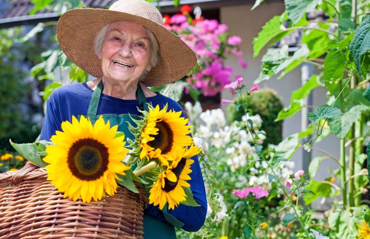 THE GIFT OF GARDENING