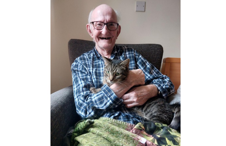 HAMPSHIRE CARE HOME WELCOMES ANIMAL SHELTER CAT