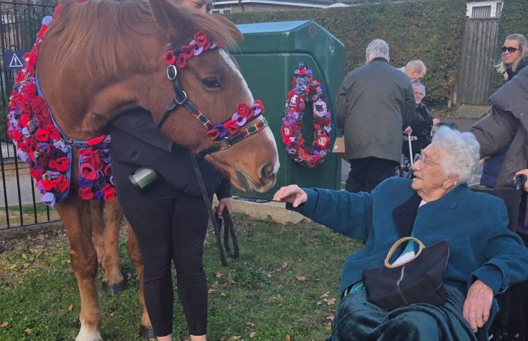 Chester the horse visits Huntingdon care home for Remembrance Day