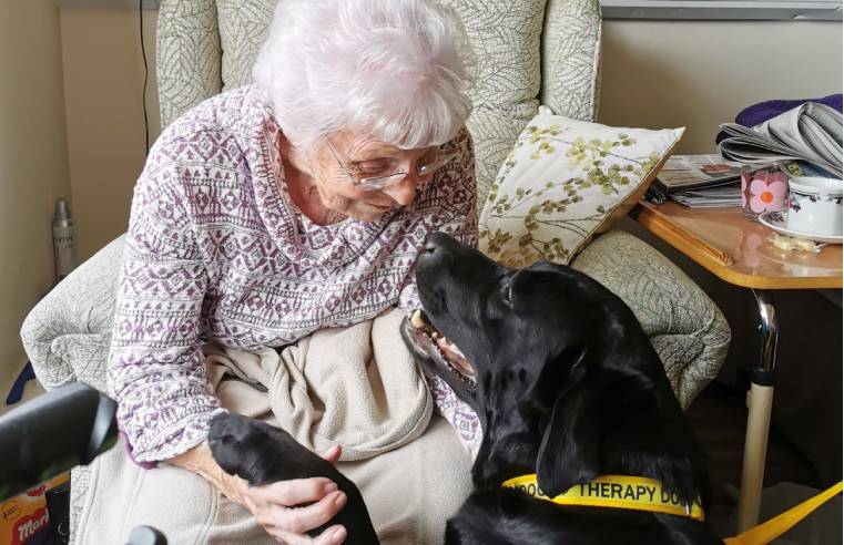 PORTHCAWL CARE HOME RESIDENTS REUNITE WITH BELOVED THERAPY DOG